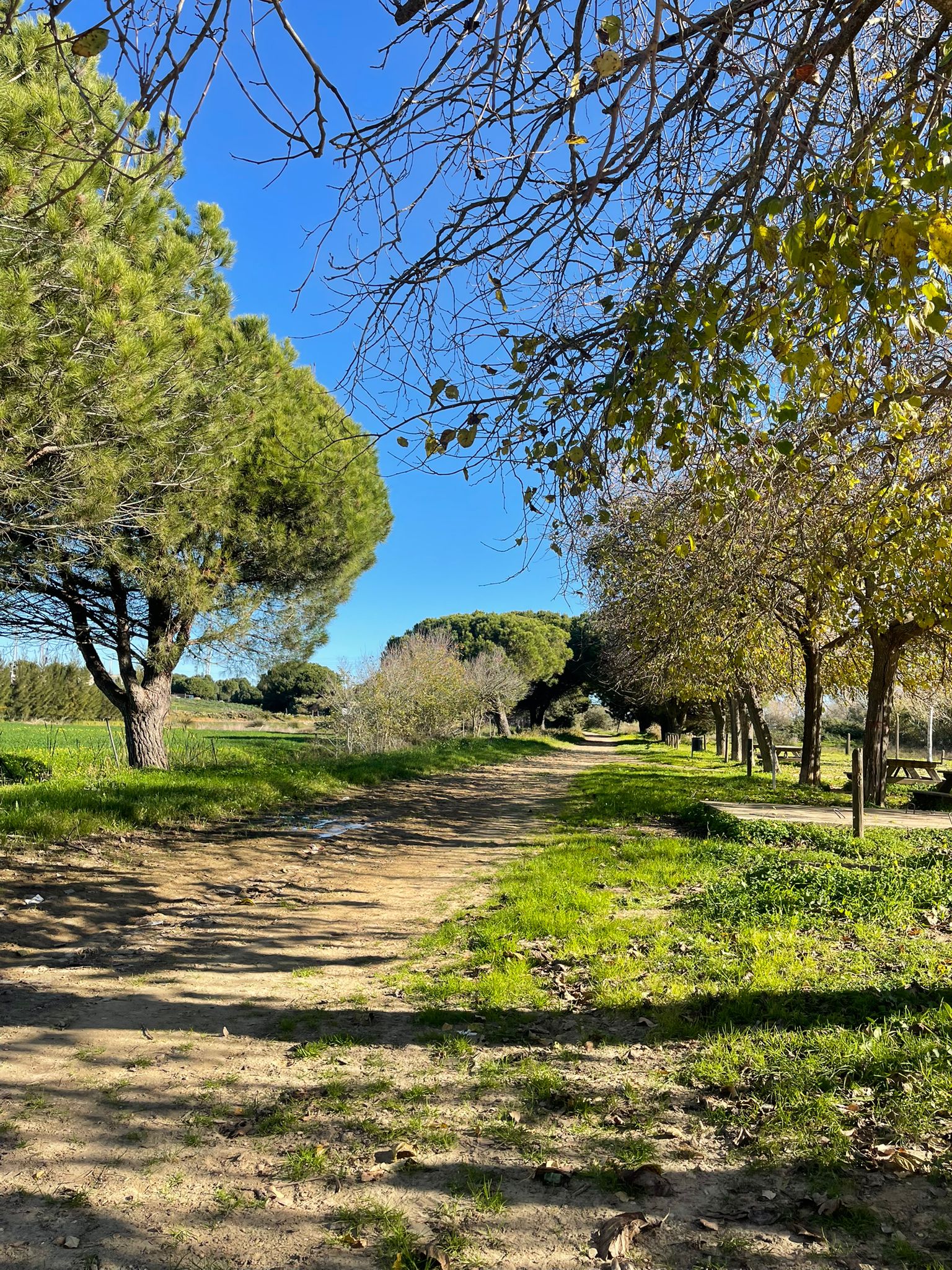 Vía verde de La Redondela La Peña - Vía verde de La Redondela