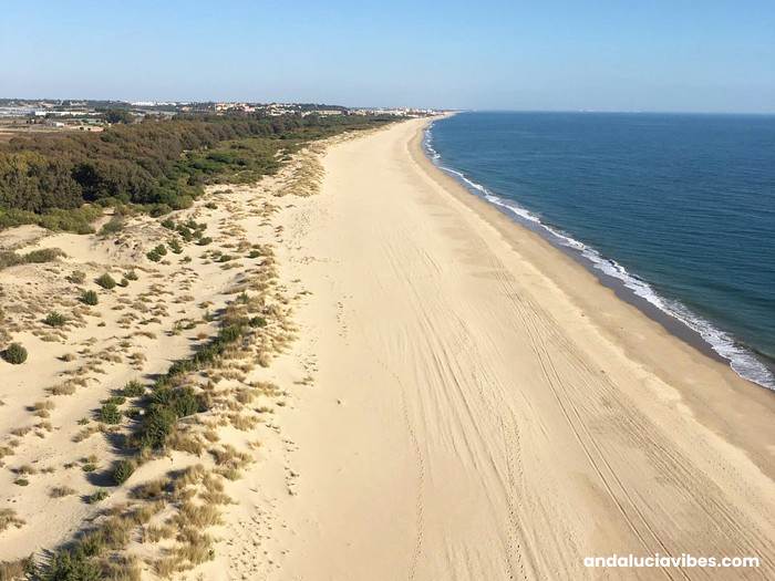 Vista aerea de la playa de La Redondela La Peña - Vista aerea de la playa de La Redondela